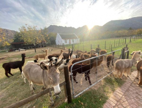 Alpaca Inn